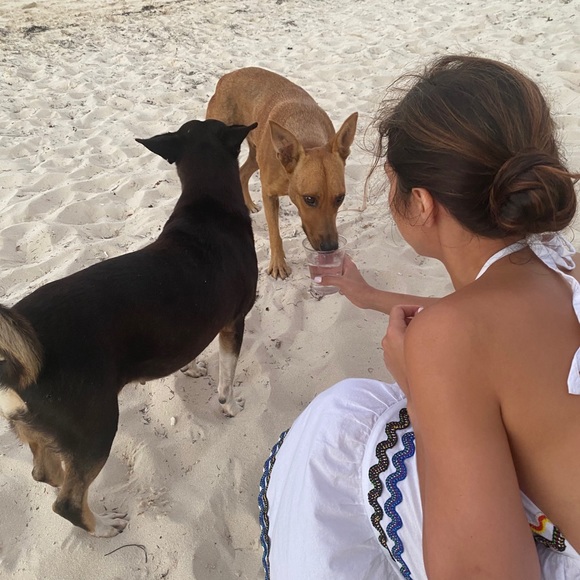 Meet your Posher, Rita - Picture 1 of 1